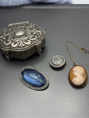 Antique Victorian Casket of Brooches